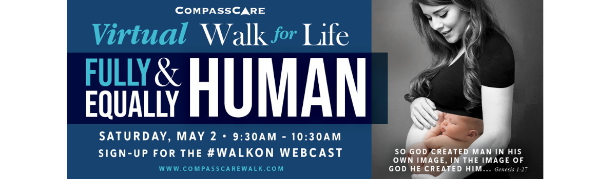 2020 Virtual Walk for Life